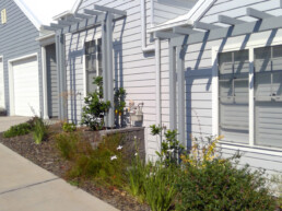 multi unit development builder Valley Homes East Maitland