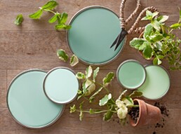 green palette nature interior